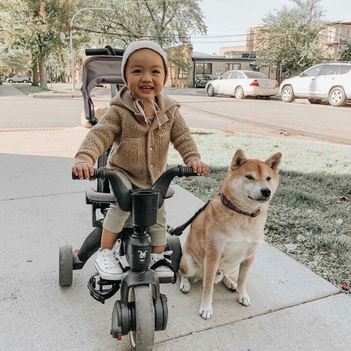楽天市場】リキトライク グレイハウンド 世界最小 折りたたみ 三輪車 