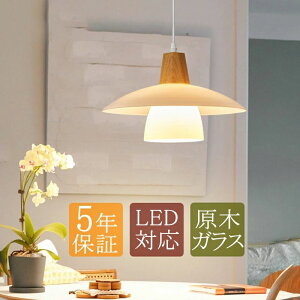 �C���e���A�Ɩ� LED�Ή� ���|�V�[�����O �V�䃉�C�g �������� �P�^ �L�b�`�� ���r���O �y���_���g���C�g �H���s�v �_�N�g���[���p �ی` �V��Ɩ���� AAAZM �_�C�j���O �ؐ� �K���X ���� �I�V