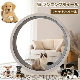 ノイズなし 猫用回し車 猫ランニングマシン キャットウォーク 運動不足やストレス解消に 滑り防止マット付き 静音 キャットエクササイズホイール ローラー 猫 運動 キャット 爪研ぎ 軽量 猫のトレッドミル 直径120cm キャットホイール ランニングホイール 鍛錬