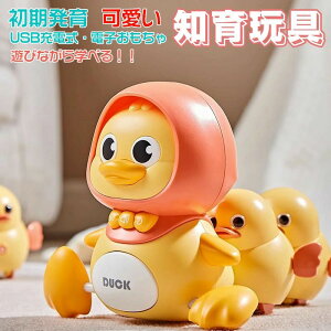 �m��ߋ� 6���� �Ԃ����