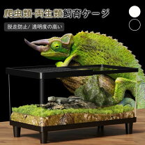 楽天市場】大きい（爬虫類・両生類｜ペット・ペットグッズ）の通販