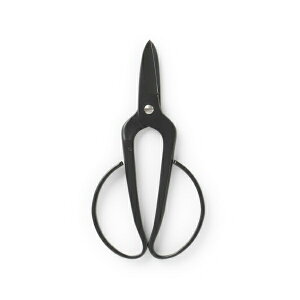 쐭Xѐ@FRORISTmnp|nT~RpNgX^CbVMtgv[gn[EkCzs]