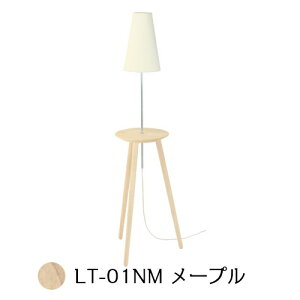 RTCve[u[vLT-01NM[ȃiCge[uTChe[uƖte[u]yP10z[zs]