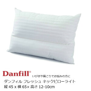 Danfill _tBtbVlbNs[Cg JPA110[EkCzs]