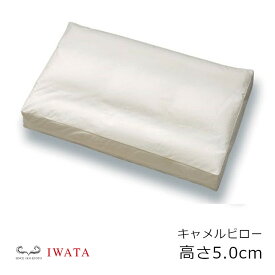 京都老舗寝具メーカーIWATAイワタイオゾンデルタキャメルピロー高さ5cm[高級枕快適快眠冬温か夏涼しいプレゼントギフト健康]【P5】[沖縄・北海道配送不可]