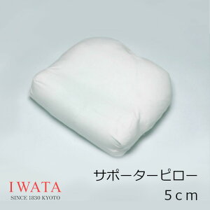 sVܐQ[J[IWATA C^CI]f^ T|[^[s[40×43cm[Q}bgK~ėv[gMtgN][EkCzs]