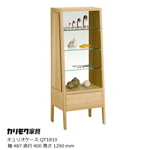 JNƋLIP[XQT1810[JNKarimokuVvfUC]yP10z[EkCzs]