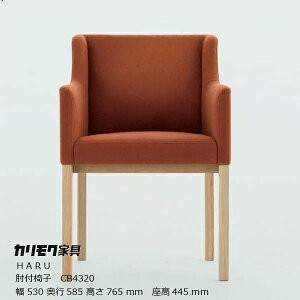 JNHARUIt֎qniijCB4320[ъnJNƋkarimoku][EkCzs]