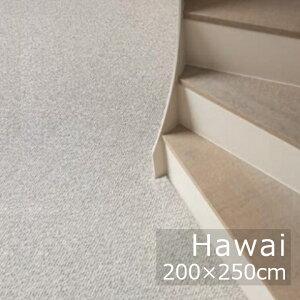 Hawai�@�n���C�@200×250cm�I�[�o���b�N���HCreatuft �Ѓx���M�[�����n[ �k���������O �E�[��100���̓V�R���O][����E�k�C���z���s��]