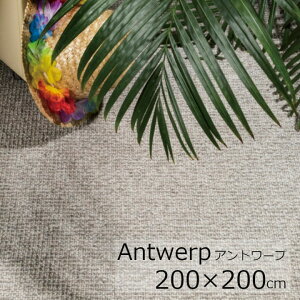 Antwerp@Ag[v200×200cmCreatuft ЃxM[n[ kO E[100̓VRO][EkCzs]