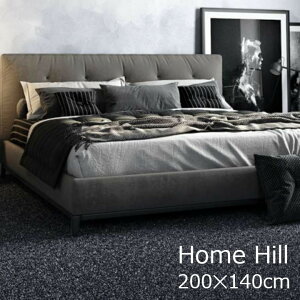 XvO@[HomeHill z[q200×140cm[O J[ybg g[Ή h AWEЃxM[n KiTCY ѓdh~ h ][[J[i EkCzs]