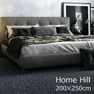 XvO@[HomeHill z[q200×250cm[O J[ybg g[Ή h AWEЃxM[n KiTCY ѓdh~ h ][[J[i EkCzs]