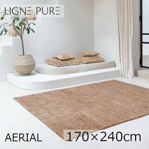 LIGNE PURE@[j s[AERIAL@GAA@170×240cm[OJ[ybg KiTCY CO񂹕i kCEEʓr]