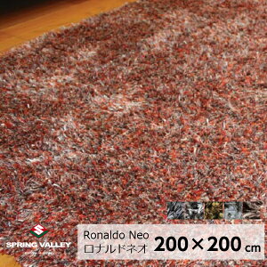 XvO@[Ronaldo-NeoihElI200×200cmyP10z[EkCzs]