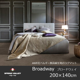 スプリングヴァレーBroadway(ブロードウェイ)200×140cm[テレビ放送 高級ラグ カーペット 床暖房対応 防炎 AWE社ベルギー製生地 規格サイズ ロボット掃除機対応 ][メーカー直送品 沖縄・北海道配送不可]