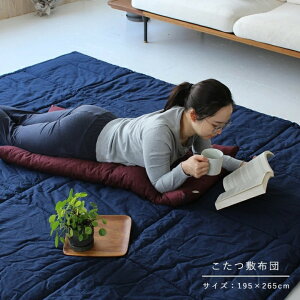 ~zc ` 195×265cm[ O}bg 킽J[ybg LgO ӂƂ _  ]EkCzs]