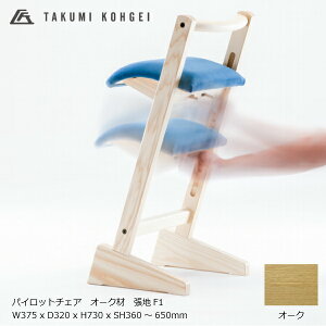 パロットチェアの人気商品・通販・価格比較 - 価格.com