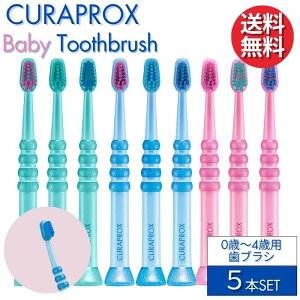 クラプロックス 歯ブラシ Baby ベイビー 【5本セット】0歳〜4歳 赤ちゃん 子ども用 幼児用 CURAPROX CK4260 スイス製 超やわらか極細毛 ウルトラソフト 歯磨き 美白 口臭ケア むし歯 予防 歯科専売