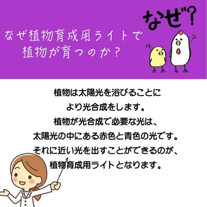 楽天市場 植物育成 ライト Led 水草栽培 温室水耕栽培 ランプ 室内植物育成ライト 多肉植物 育成 成長促進 光合成 日光 日照不足 解消 省エネ 送料無料 Kingyama楽天市場店 楽天市場 植物育成 ライト Led 水草栽培 温室水耕栽培 ランプ 室内植物育成ライト 多肉植物 育成 成長促進 光合成 日光 日照不足 解消 省エネ 送料無料 Kingyama楽天市場店