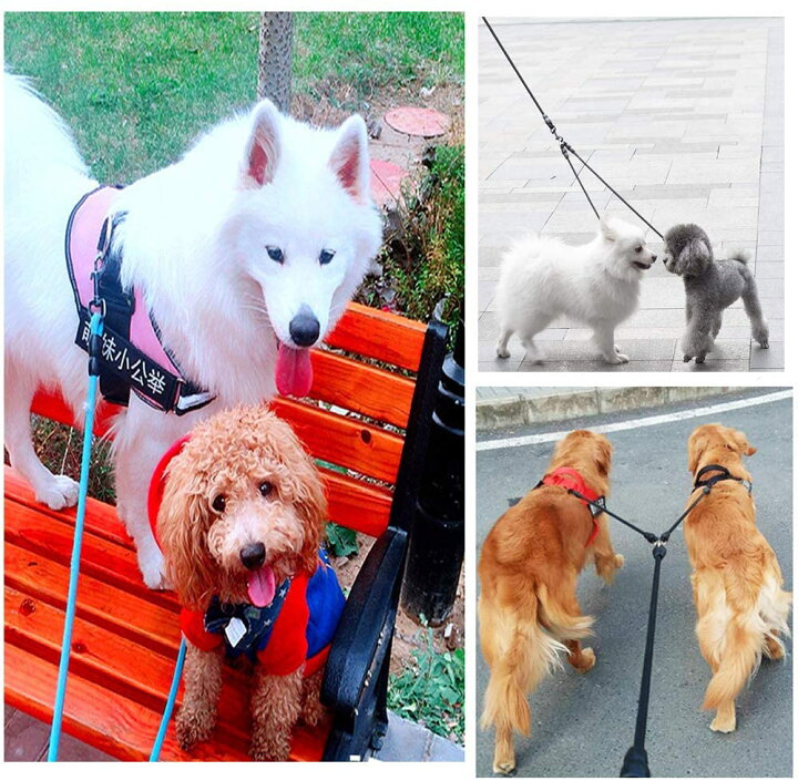 楽天市場】犬用リード 二頭引き リード ダブルリード 2頭引き 2匹 多頭 多頭飼い 絡まない 軽量 小型犬 中型犬用 訓練リード 便利なペット用品 小中大型犬対応 ペット用品 : Kingyama楽天市場店 楽天市場】犬用リード 二頭引き リード ダブルリード 2頭引き 2匹 多頭 多頭飼い 絡まない 軽量 小型犬 中型犬用 訓練リード 便利なペット用品 小中大型犬対応 ペット用品 : Kingyama楽天市場店