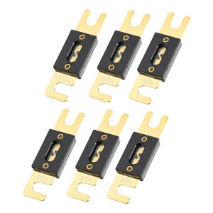 X AUTOHAUX ANLヒューズ ゴールドトーンメッキ 500A ユニバーサル インバータ 自動車 車両 トラック オーディオ用 6個