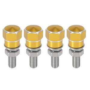 Motoforti I[goC̃io[v[gt[{g lW CNCA~jE jo[T S[hg[ 4