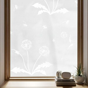 CAPASTEC KX ډBtB fMV[g Ih~ XehOXV[ UVJbg Oh~ œ\  B CeA Uh~ \蒼\  DIY ^|| 30x300cm