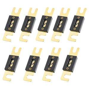 X AUTOHAUX ANLヒューズ ゴールドトーンメッキ 100A ユニバーサル インバータ 自動車 車両 トラック オーディオ用 9個