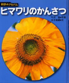 楽天市場 ひまわり 向日葵 図鑑 ちしき 絵本 児童書 図鑑 本 雑誌 コミックの通販