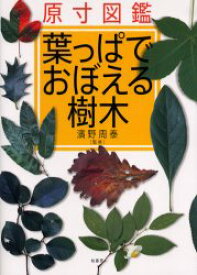 葉っぱでおぼえる樹木 原寸図鑑 柏書房 浜野周泰／監修