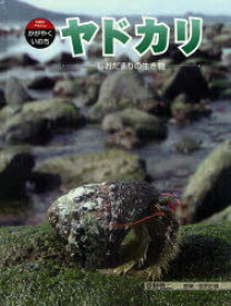 ヤドカリ　しおだまりの生き物　草野慎二/著　武田正倫/監修
