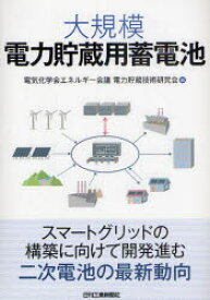 大規模電力貯蔵用蓄電池　電気化学会エネルギー会議電力貯蔵技術研究会/編