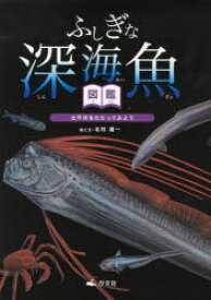 楽天市場 深海魚 図鑑の通販