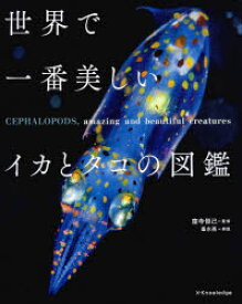 世界で一番美しいイカとタコの図鑑 窪寺恒己/監修