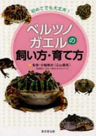 楽天市場 ベルツノガエル 販売の通販
