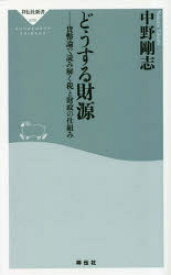 どうする財源　貨幣論で読み解く税と財政の仕組み　中野剛志/〔著〕