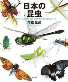 日本の昆虫　THE　MUSEUM　OF　JAPANESE　INSECTS　今森光彦/著　田中良尚/監修