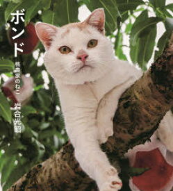 ボンド　桃農家のねこ　岩合光昭/著