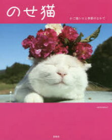 楽天市場 かご猫 シロの通販 楽天市場 かご猫 シロの通販
