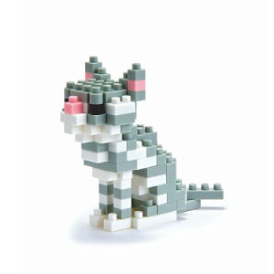 imubN nanoblock RNV AJV[gwA NBC-032