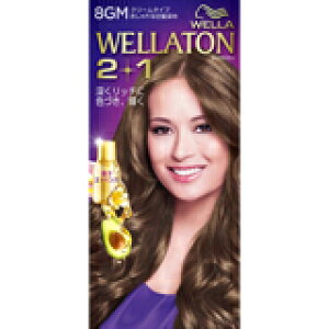 EGg[ c[vX(2+1) N[ 8GM 4056800251025 y񏤕iz@y3980~ȏ㑗(EECO)z