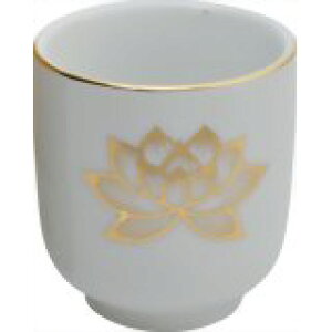 nX  1.6 4902741300264 y񏤕iz@y3980~ȏ㑗(EECO)z