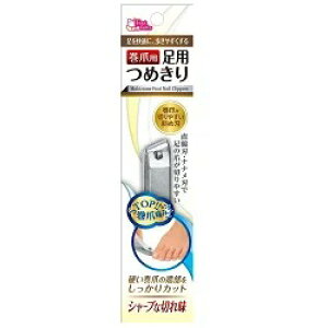 ܗp p ܂ 10.5cm×1 4560161323012y񏤕iz