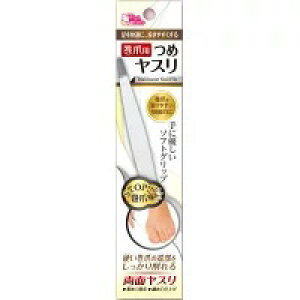 ܗp  X×1 4560161323029y202408z