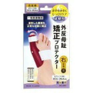 vXEH[N O䋸veN^[ Ep (1)×1 4580215005633y񏤕izy0627Nz