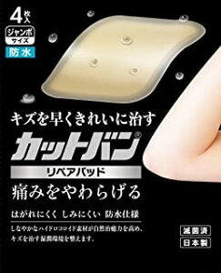 yǗË@zJbgo yApbh W{TCY 4×1 4987235020903 y񏤕iz