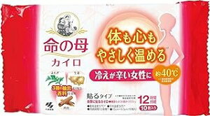 ̕ JC \^Cv (10)×1 4901548603844y񏤕iz