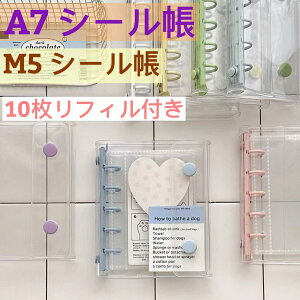 SNS�Řb�� ���r���[�������āA���t�B��10��GET���V�[���� ���� �V�[�� �o�C���_�[ ���̎q �͂����� m5 A6 A7 �V�[���蒠 �}�C�N��5 6 7
