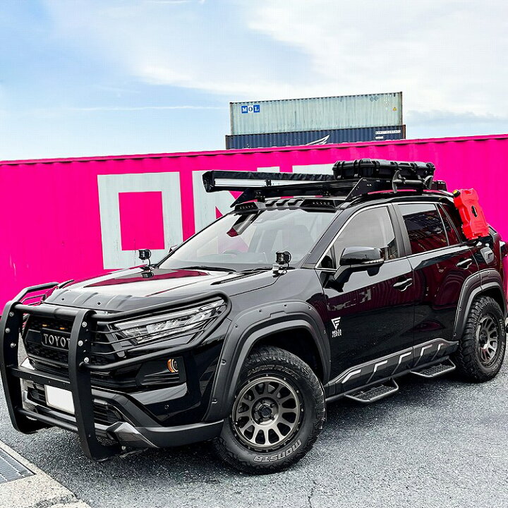 楽天市場】値下特価 RAV4 50系 サイドプロテクター グレーメタリック 