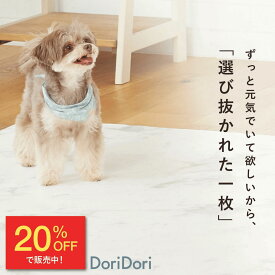 【20％OFF】レビュープレゼント中！防水 ペット マット 床暖房対応 マット 防水 厚手 防音 ペットマット PVCマット 220x110cm 140×180cm 65×180cm hwn01 hwn02 hwn04